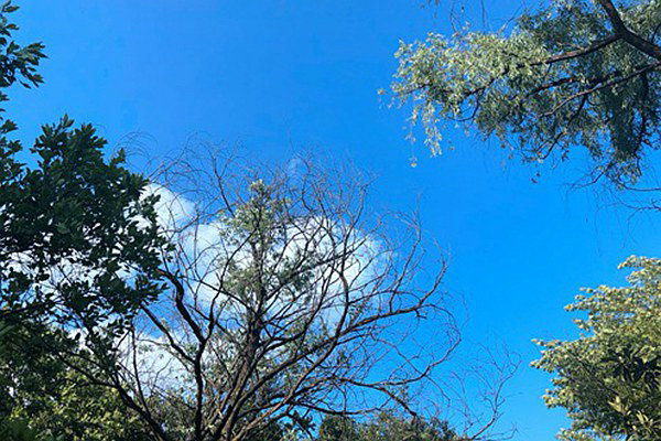 筑牢“真準全”數據基石，數智賦能打贏藍天保衛戰 