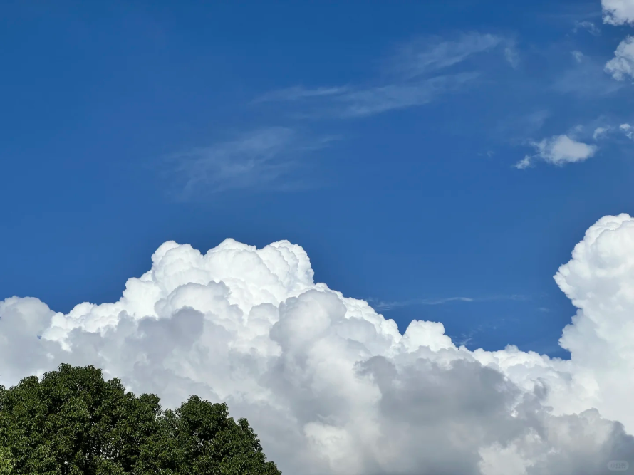 廣州藍(lán)，8微克閃耀全運(yùn)！從化綠，6微克奠定基石！