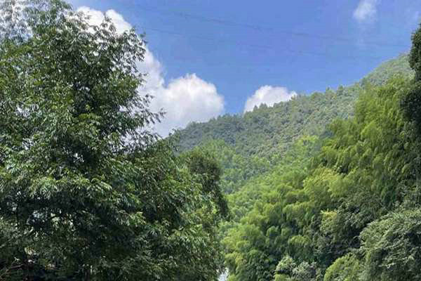 寧夏“十五五”規(guī)劃建議出爐 加快經(jīng)濟(jì)社會發(fā)展全面綠色轉(zhuǎn)型